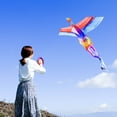 thumbnail image 4 of Mint's Colorful Life Rainbow Phoenix Kite for Kids and Adults, Easy to Fly Large Beach Kites, 4 of 7