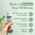 thumbnail image 7 of Pranarom Provence Cypress Organic Essential Oil Diffusion Blend, 7 of 7
