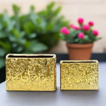 Zerin Golden Abstract Rectangular Vase