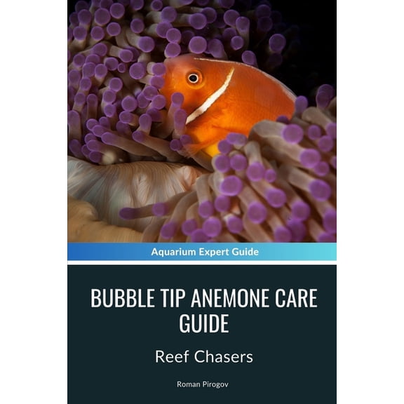 Bubble Tip Anemone Care Guide: Reef Chasers (Paperback)