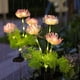 thumbnail image 4 of Clearance!2 piezas 5 Luces solares LED luces rosas luces de jardín impermeables al aire libre atmósfera festiva luces decorativas luces insertadas, 4 of 7