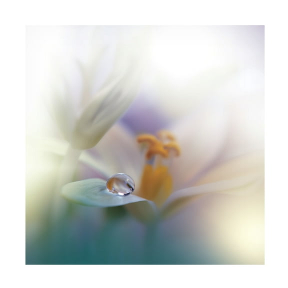 Canvas Wall Art - Juliana Nan 'All Of Me ' Wall Art for Living Room, Bedroom, or Office D?cor by Trademark Fine Art - 14 x 14 Inches