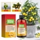 thumbnail image 2 of Fertilizante para plantas MOONSPRY Citrustree, 100ml, naranja, árbol frutal, raíz, belleza, solución nutritiva para el crecimiento de la fruta, 2 of 6