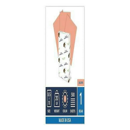 1PK HAM103119 Colors Print Paper, 20lb, 8.5 x 11, Salmon, 500/Ream