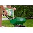 thumbnail image 3 of Turf Builder Starter Lawn Food 24-25-4 1.4kg /93m², 3 of 6