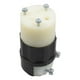 thumbnail image 3 of Conector Leviton de 15 amperios, 125 voltios, hoja recta 5269-C, 3 of 3