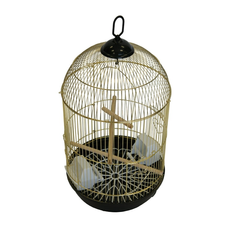 YML A1594 Bar Spacing Round Bird Cage, Brass, Large : : Pet  Supplies