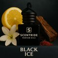 thumbnail image 5 of Car Diffuser | Air Freshener | Car Accessories | Car Freshies | Hanging Diffuser, 5 of 6