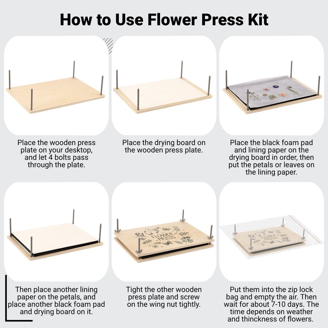 Flower Press Kit, Floral Preservation Supplies, Creative Flower Art Tools, 11.6" x 8.1" Wood Plate, Durable Construction, for Flower Leaf Plant