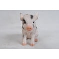 thumbnail image 3 of 7.5" Baby Pig Outdoor Garden Statue, 3 of 4