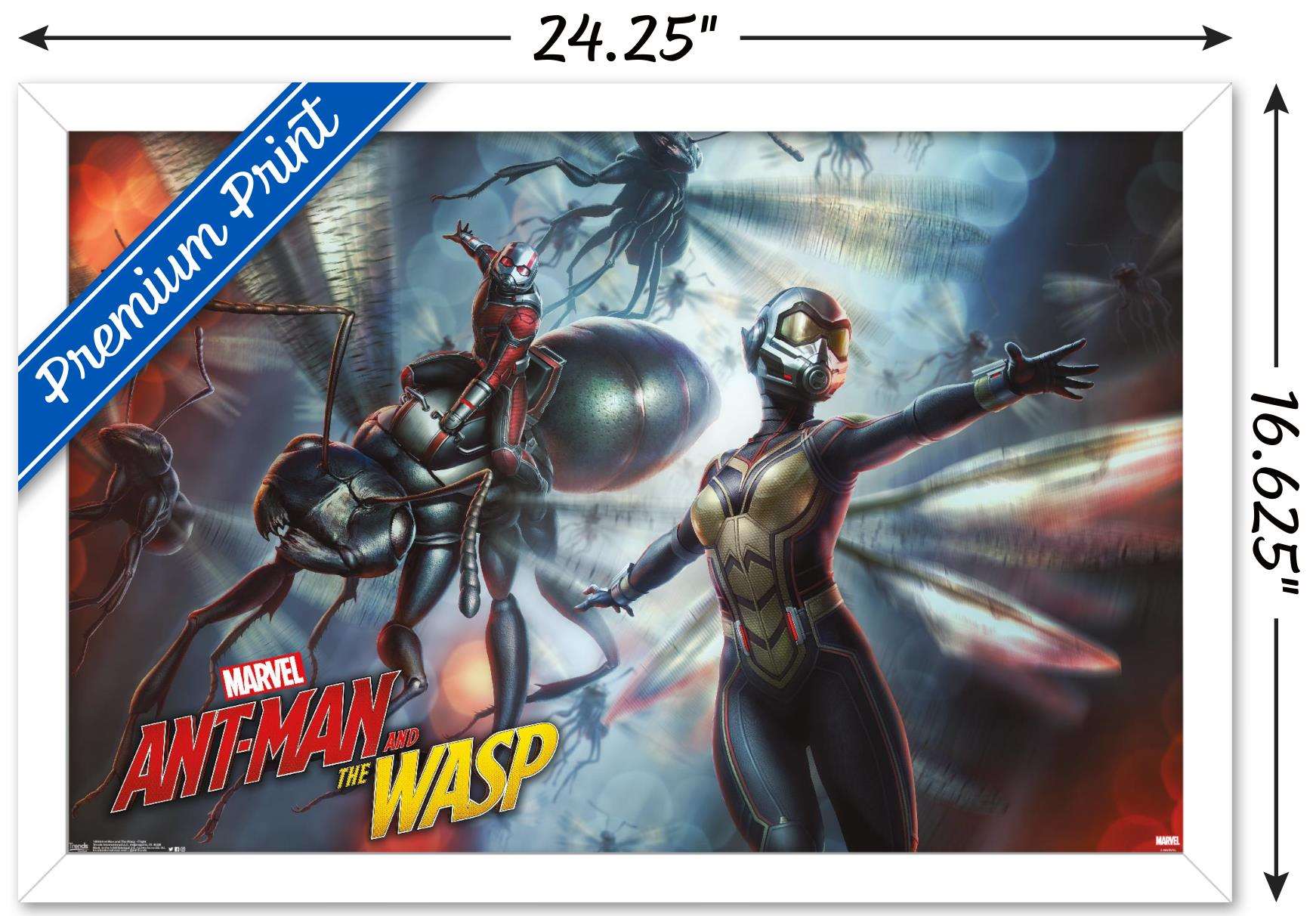Marvel Cinematic Universe - Ant-Man and the Wasp - Flight Wall Poster, 14.725" x 22.375", Framed