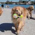 thumbnail image 5 of Candy Colored Rope Woven Dumbbell Pet Dog Cat Teeth Grinding Mouth Toy, 5 of 5