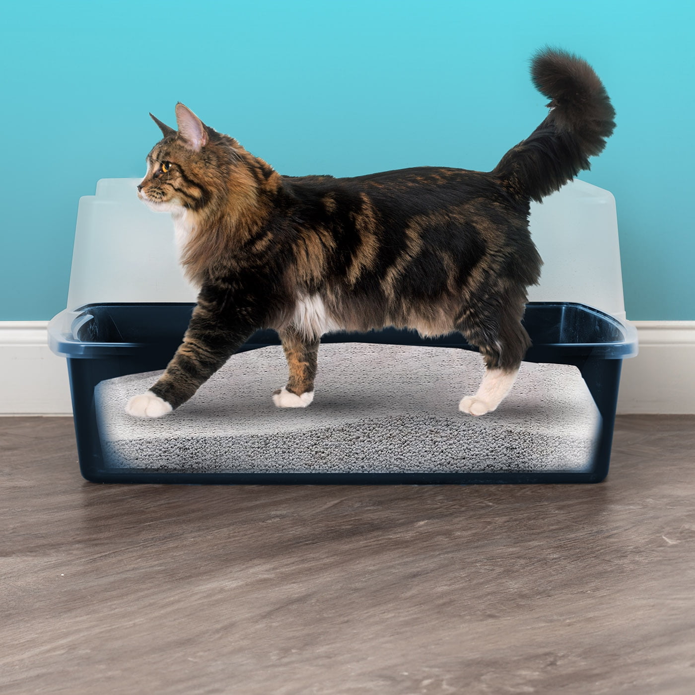 IRIS Extra Large Open Top Cat Litter Box with Scatter Shield, Sturdy Open Air Kitty Litter Pan with Tall Spray, Navy