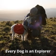 thumbnail image 2 of Ruffwear , Collier pour Chien de Randonnée, Collier d'Aventure Élégant avec Design Réfléchissant de Qualité Supérieure, Boucle à Dégagement Rapide, Confort Léger Toute la Journée, Alpin, 2 of 9