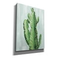 thumbnail image 2 of Epic Graffiti 'Front Yard Cactus II Slate' by Silvia Vassileva, Canvas Wall Art, 40"x54", 2 of 8