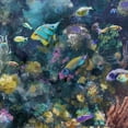 thumbnail image 3 of Masterpiece Art Gallery Underwater Colors II Fish Assortment by Studio Arts Canvas Art Print, 3 of 4