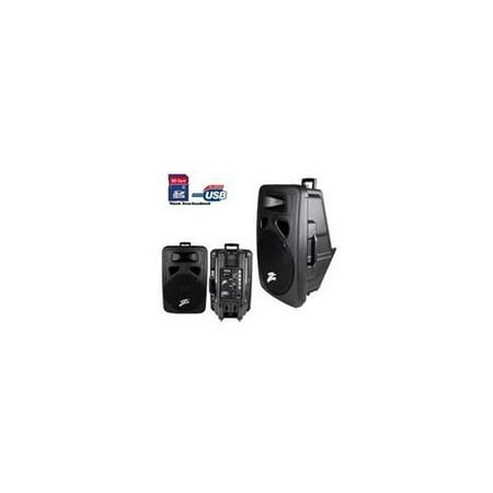 NIPPON DJZP1205AUSB 12 inch 300W PA Speaker-Monitor