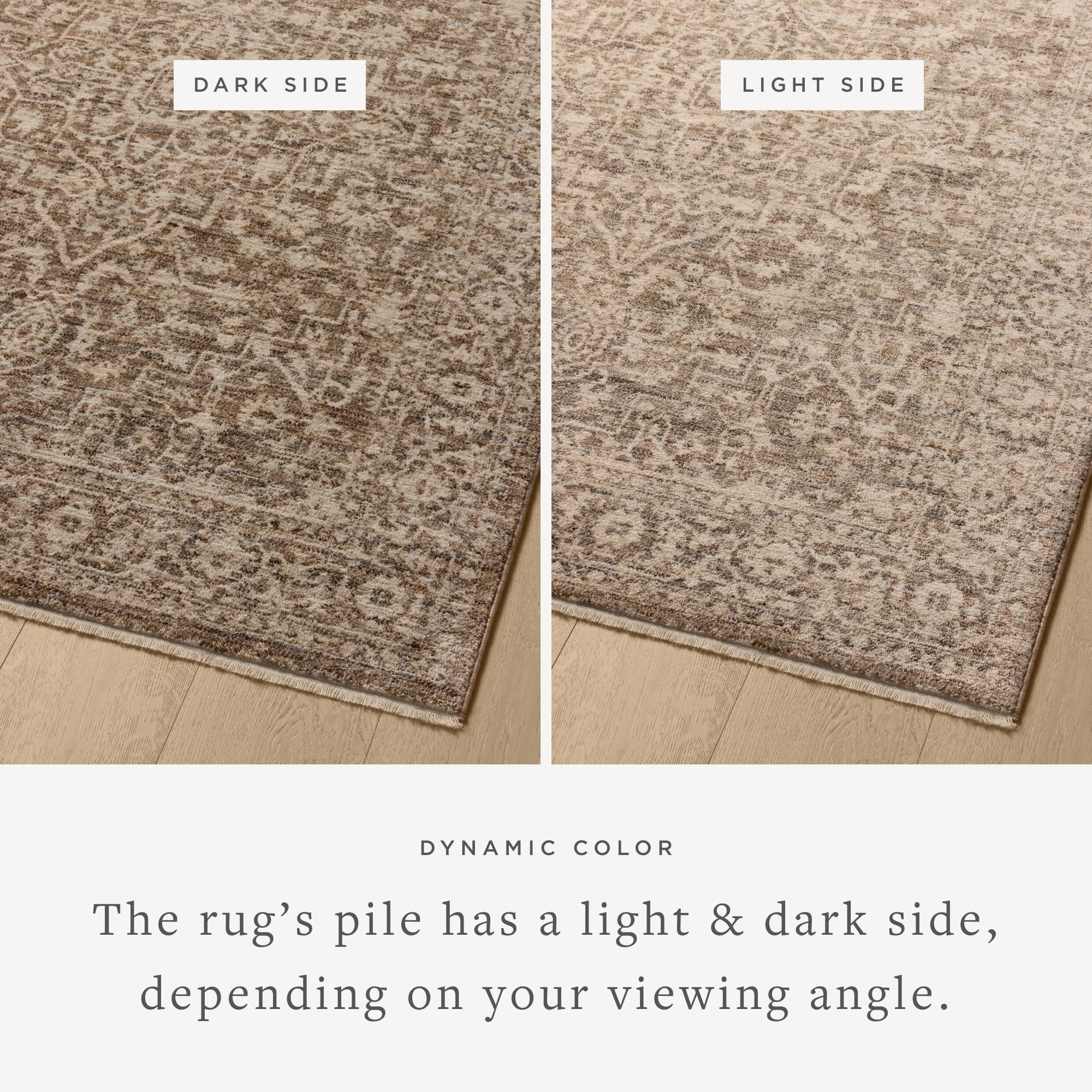 Loloi Newman Dark Taupe / Natural 9'-6" x 13' Area Rug