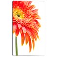 thumbnail image 2 of Gerbera Orange sur Fond Blanc - Impression sur Toile Florale, 2 of 3