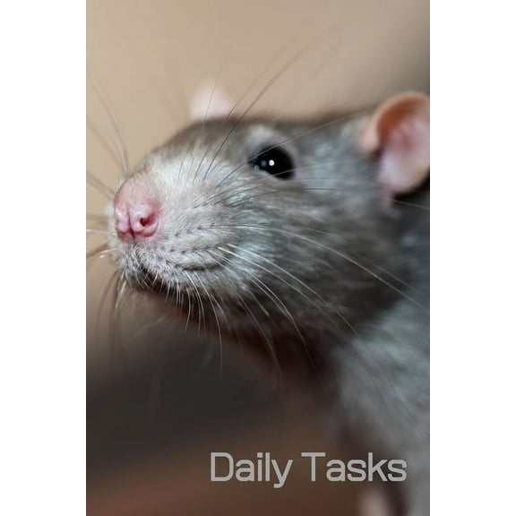 Daily Tasks (6x9inch): Cute Rat Book; Daily Checklist for Organisation; Cute Book for Rat Lovers; 6x9inch (Paperback)