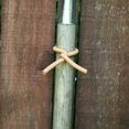 thumbnail image 4 of Tierra Garden Garden Twist Tie - Original Soft Tie for Plants & Trees - 16.4' - UV Stabilised Rubber Compound, 4 of 4