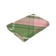thumbnail image 5 of Manta de franela a cuadros rosa y verde, divertida, ultra suave, cálida y micro, regalo interesante, 40 x 30 pulgadas, 5 of 8