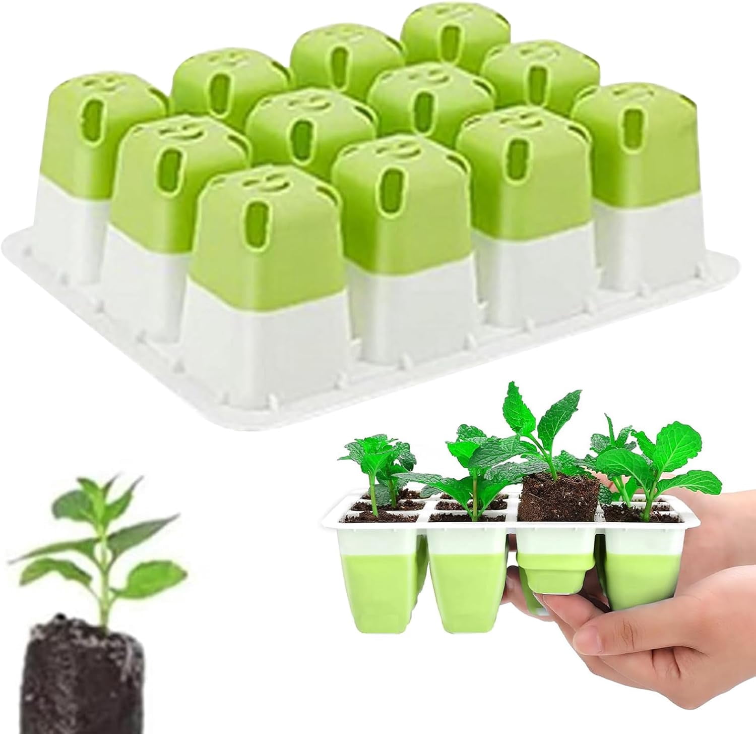 60 Cells Seed Starter Kit, Silicone Seedling Trays with Pop-Out Cells, Reusable Germination Trays for Indoor Gardening, 5 Pack x 12 Cells