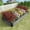 Black, variant on Raised Beds for Garden,Raised Planters for Garden Outdoor,8 X 4 X 1 FT Galvanised Metal Planter Box Beds Steel Kits for Vegetables Flower Herb Patio,SILVER