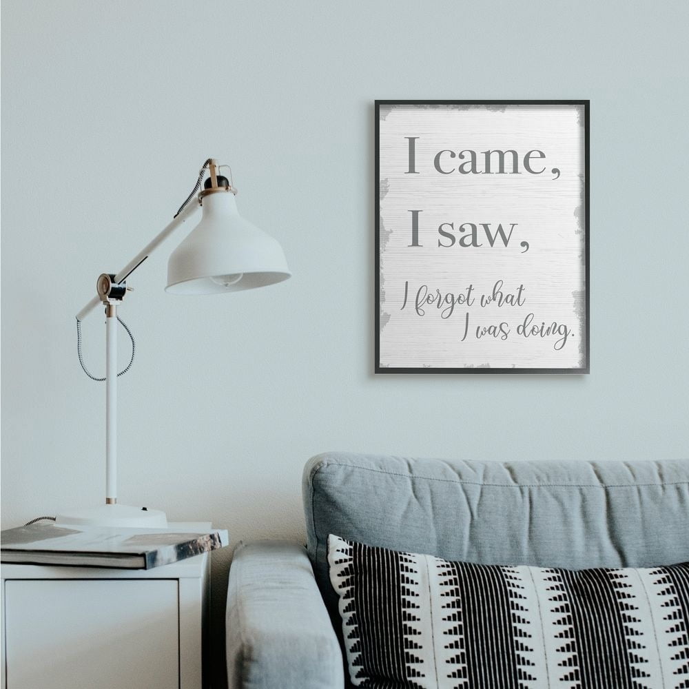 Stupell Industries I Came, I Saw, I Forgot Quote with Distressed Charm Designed by Daphne Polselli