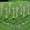 Multicolor, variant on 10 PCS Halloween Skeleton Arms Decoration Realistic Skeleton Hands for Garden Lawn Graveyard Decor Skeleton Stakes Yard Sign for Outdoor Indoor Party Supply