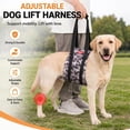 thumbnail image 6 of Adjustable Dog Lift Harness, Rear Leg Support Sling for Senior Dogs, Mobility Assistance for Weak Hind Legs, Injury Recovery and ACL Surgery Rehab, Fits Small Medium Large Dogs - XLarge, 6 of 10