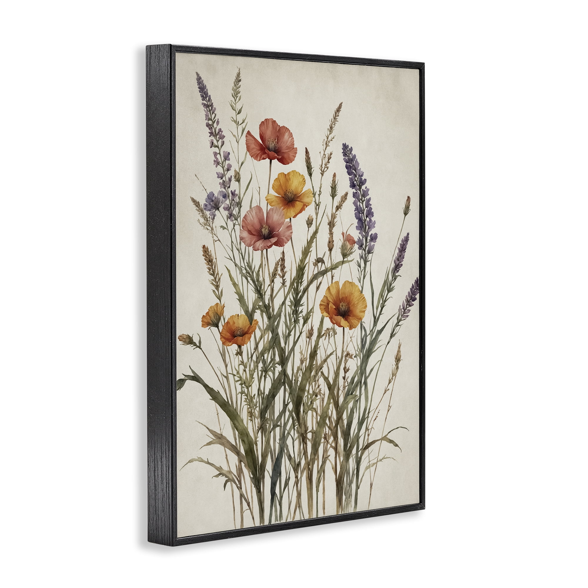 Stupell Industries Vintage Collection of Meadow Botanicals Black Framed Giclee Art, design by Nataly White