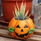thumbnail image 2 of Decoración de Halloween Decoraciones de Halloween Resina Hoja de Halloween Cushaw Maceta Creativa Tarro de Dulces Escritorio Jardín Patio Adornos, 2 of 8