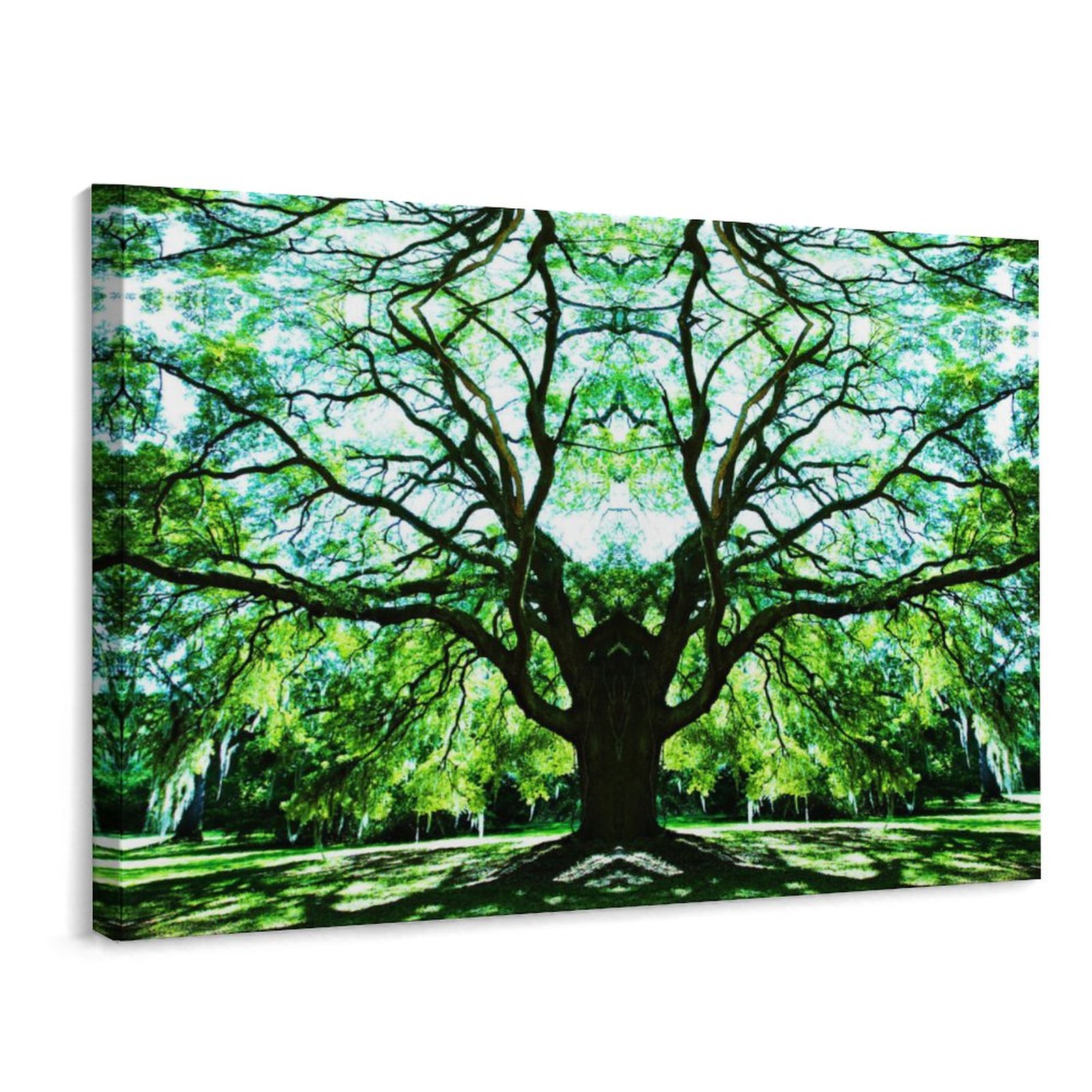 Towering Trees Canvas Wall Art with Framed, Modern Wall Decor for
