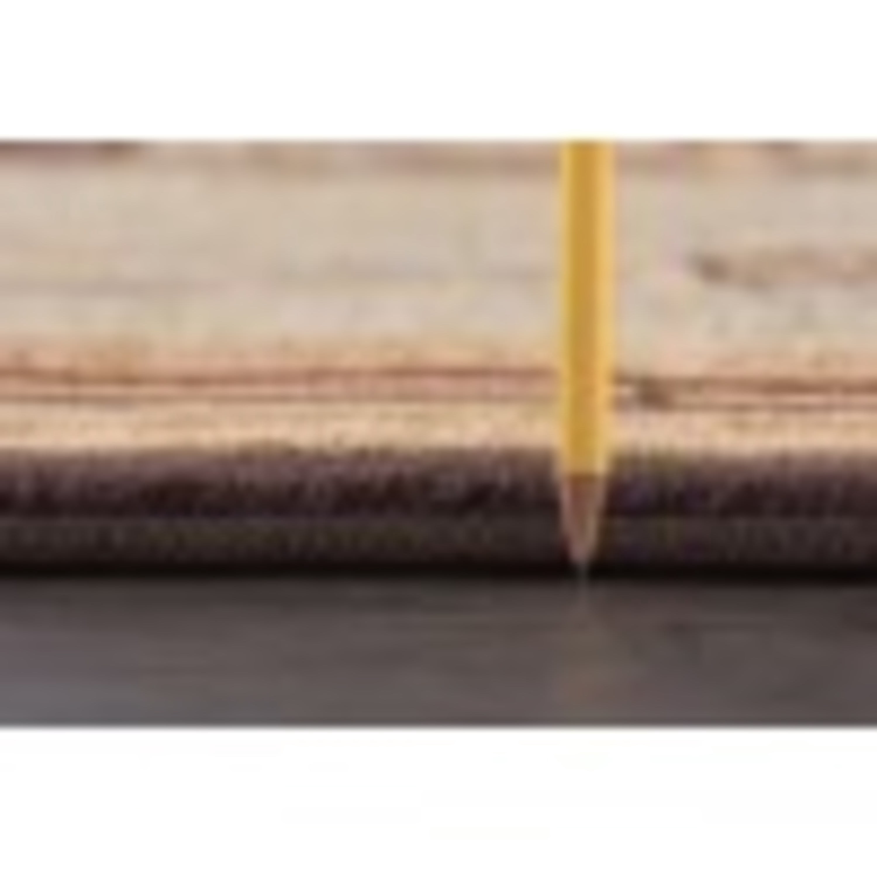 Nature Novelty 8' x 10' Ivory and Crimson Polypropylene Indoor Area Rug