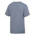 thumbnail image 3 of Men's ComfortWash Gray Memphis Tigers Dog T-Shirt, 3 of 3