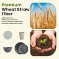 thumbnail image 4 of Homienly 40-Piece Wheat Straw Dinnerware Set, Service for 8, Plates, Bowls & Cups, Microwave & Dishwasher Safe, Multicolor, 4 of 8