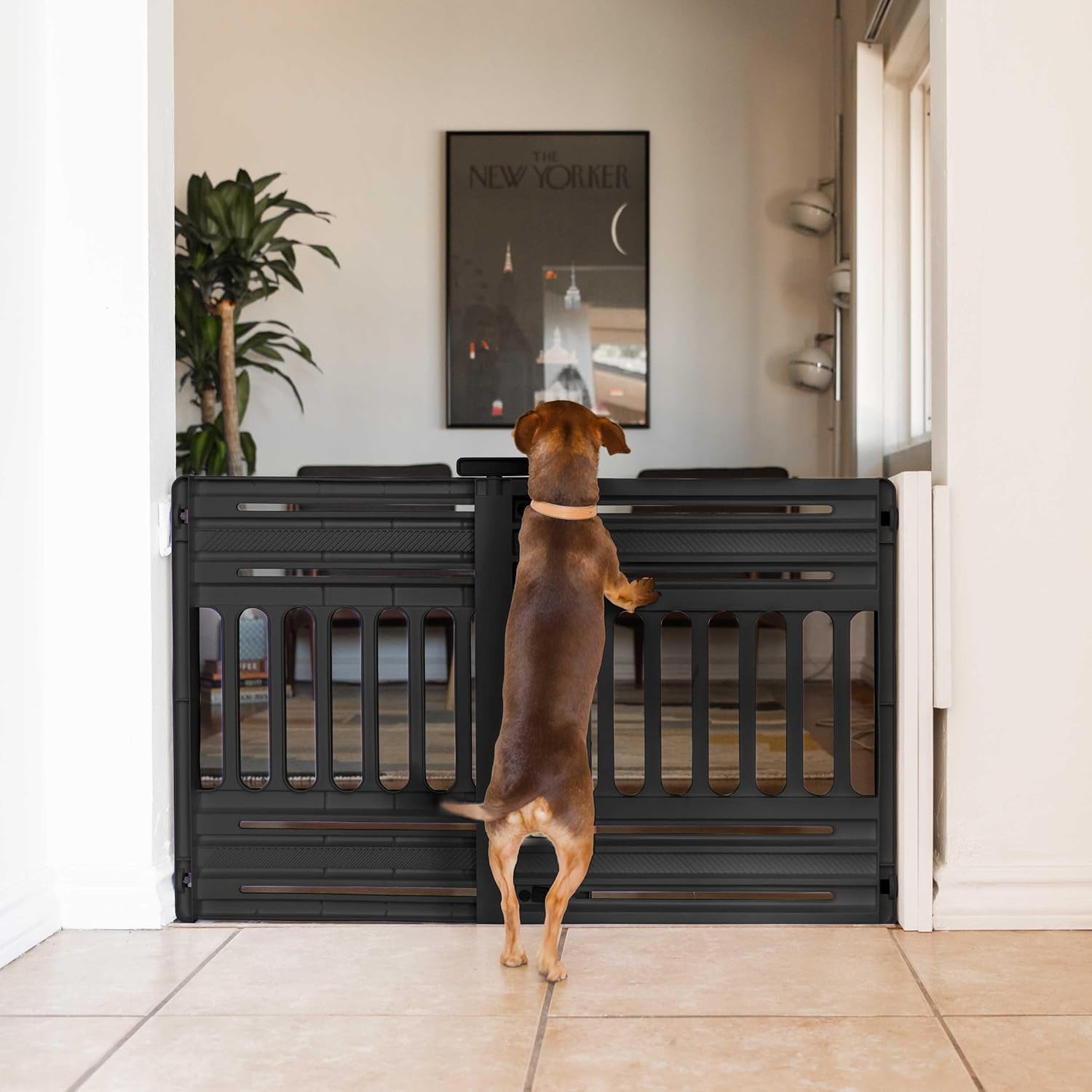 IRIS 24"-39" Dog Gate, Adjustable Indoor Pet Barrier, Pet Gate for Puppy, Small Dog, Cat