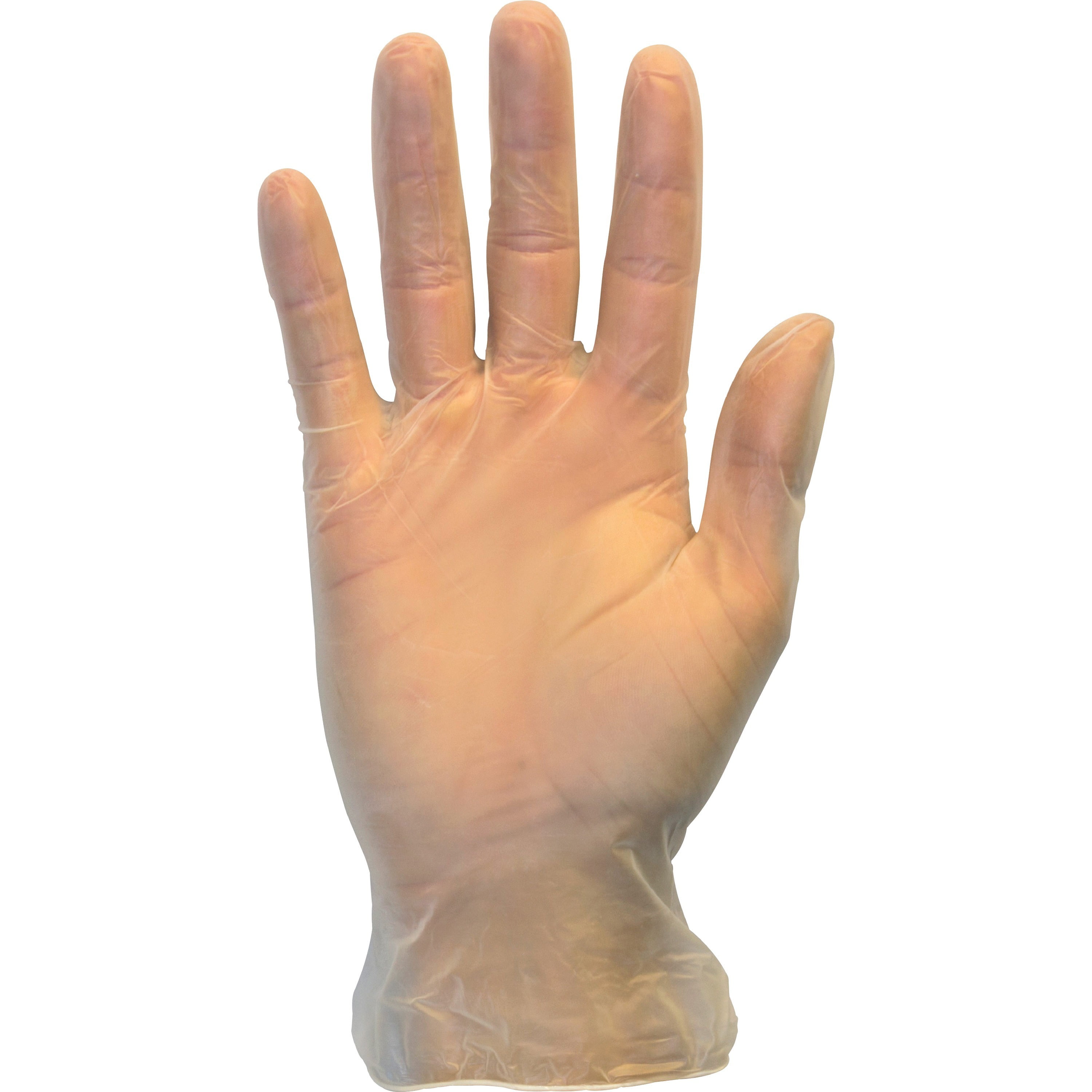 Powder Free Clear Vinyl Gloves