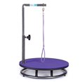 thumbnail image 1 of Table de Toilettage Rotative Ronde pour Petits Animaux - Table de Toilettage pour Petits Animaux (Violet), 1 of 1
