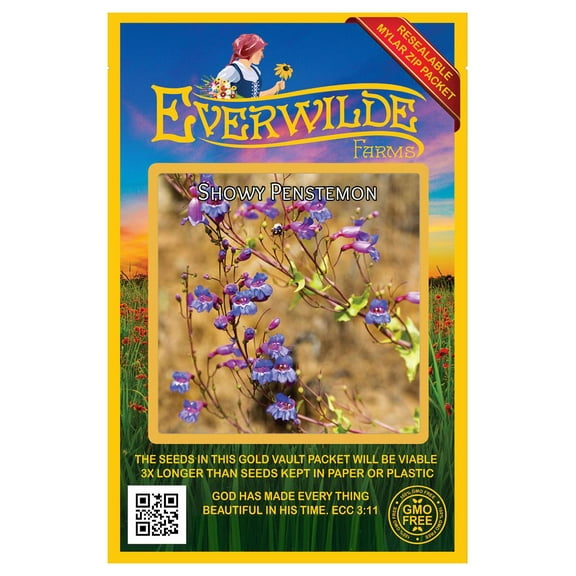 Everwilde Farms - 2000 Showy Penstemon Native Wildflower Seeds - Gold Vault Jumbo Bulk Seed Packet