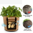 thumbnail image 5 of Vikakiooze 3 Color Gardening Items, Garden sweet potato potato planting bag grow bag plant bag beauty planting bag planting tree bag plant growth bag, 5 of 7