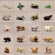 thumbnail image 1 of Wild Animal Miniature Model Lion Elephant Rhinoceros Horse Bear Kangaroo Rabbit Insect Ornaments Action Figure Figurine Toys14 He Qiyong unisex, 1 of 1