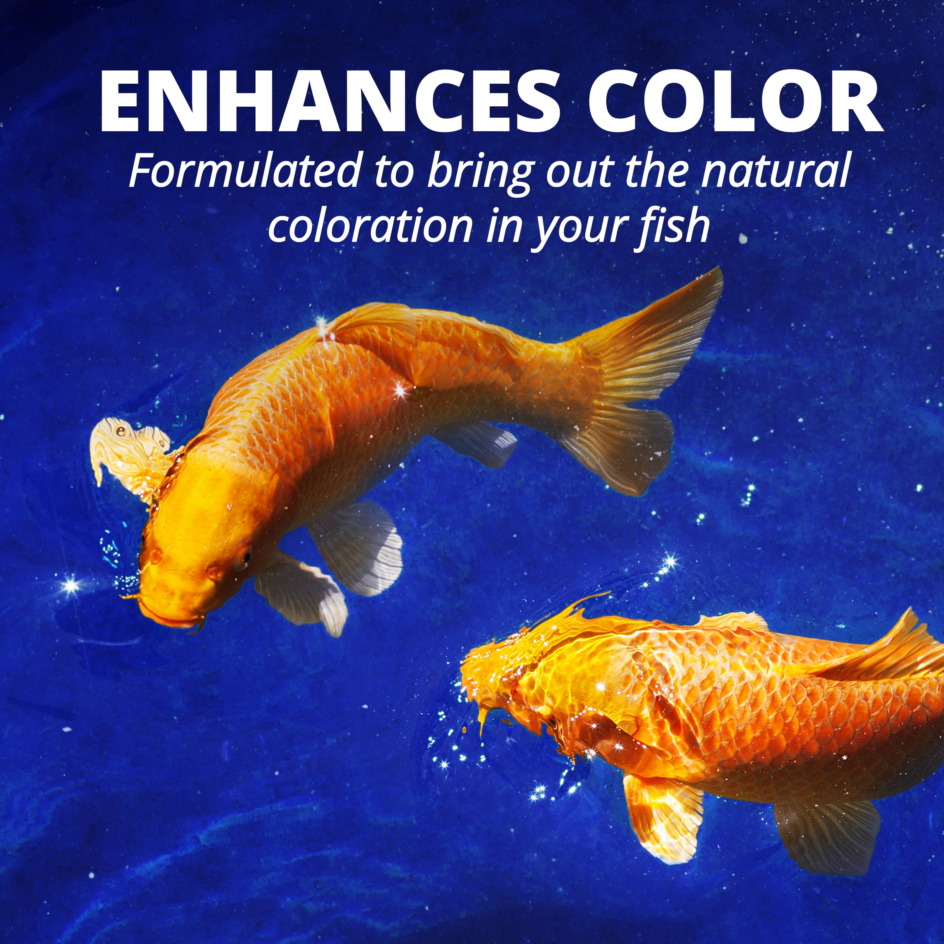TetraPond Flakes Fish Food, Complete Nutrition for Smaller Pond Fish, 2.2 lb