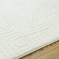 thumbnail image 5 of Livabliss Area Rugs for Living Room, 5x7 Nomadic Modern Ivory Rug, Bedroom Dining Room Home Decor Stain Resistant Carpet (5'3" x 7'), 5 of 6