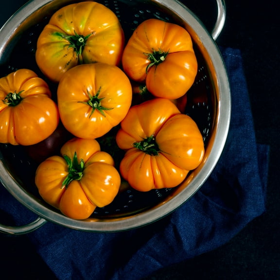 Tomato Seeds - Amana Orange - 250 Mg packet ~65 Seeds - Solanum lycopersicum - Farm & Garden Vegetable Seeds - Non-GMO, Heirloom, Open Pollinated, Annual