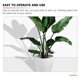 thumbnail image 3 of 10 piezas de enrejado de soporte para plantas trepadoras de interior, flores, plantas de interior, decoración exterior, arte de hierro para jardín., 3 of 6
