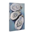 thumbnail image 4 of Stupell Industries Oyster Seashell Trio Animals & Insects Painting Gallery Wrapped Canvas Art Print Wall Art, 16 x 24, 4 of 8