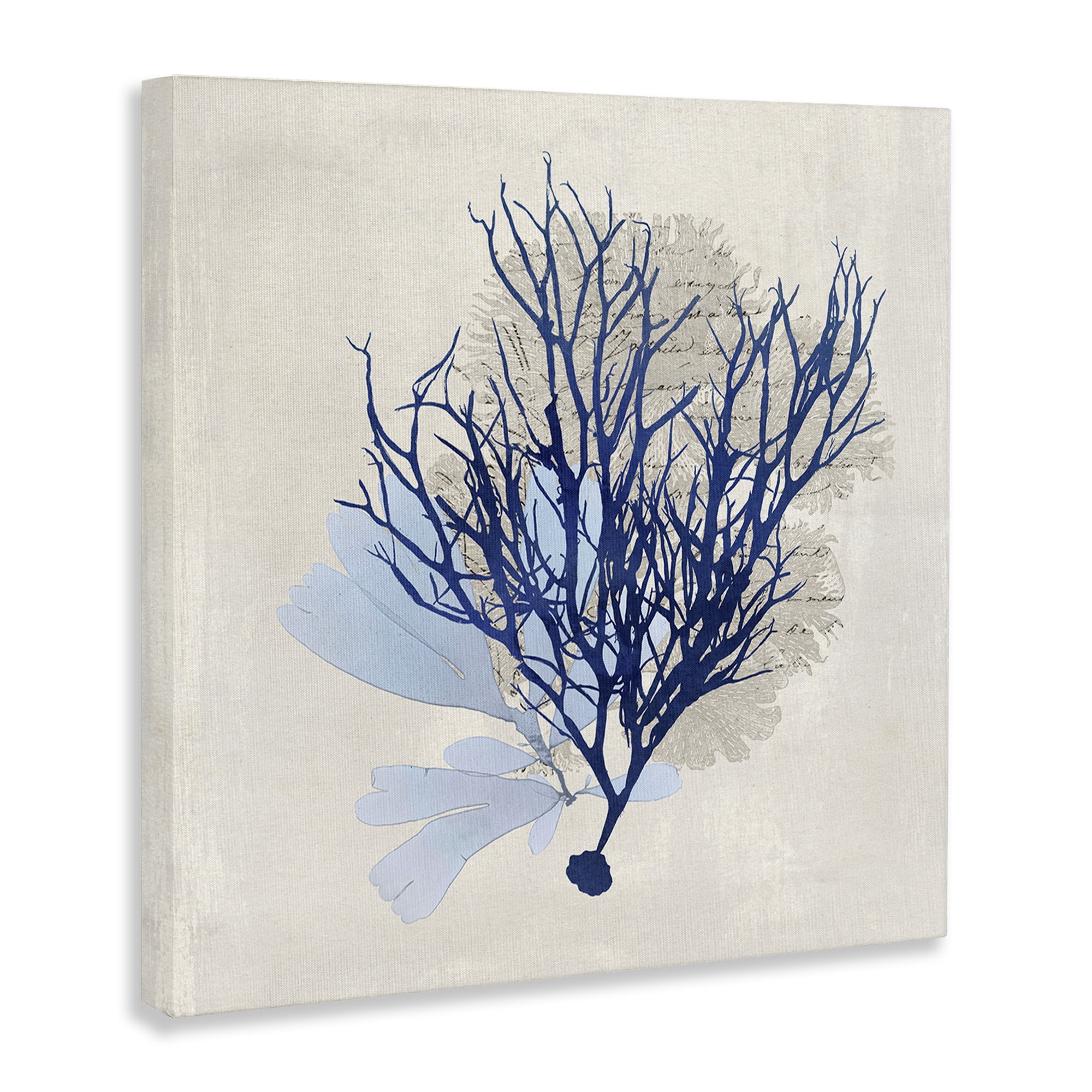 Stupell Industries Modern Coral Branch Nautical & Beach Painting Wrapped Canvas Art Print Wall Art, 36 x 36