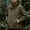 Army Green, variant on Men Women Water Resistant Hooded Rain Jacket, Adjustable Drawstring Hood Full Zip Long Sleeve Lightweight Outdoor Hiking Climbing Windbreaker Outer Coat Size 5XL Red
